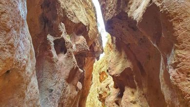 دره گلوگازر