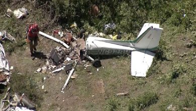 سقوط هواپیمایی فرانسه