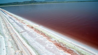 دریاچه حوض سلطان قم