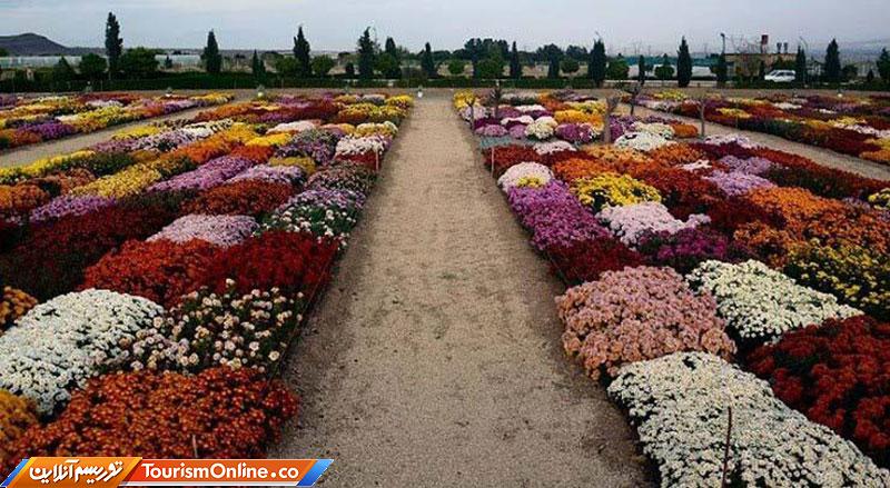زیبایی های هلند در محلات ایران