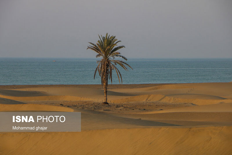 ساحل زیبای درک چابهار