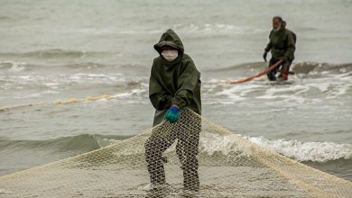 تور خالی صیادان پره