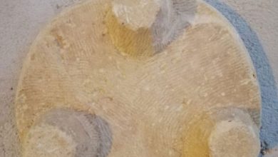 کشف شی تاریخی بندر سیراف