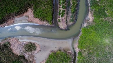 تالاب انزلی