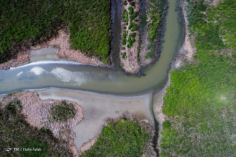 تالاب انزلی