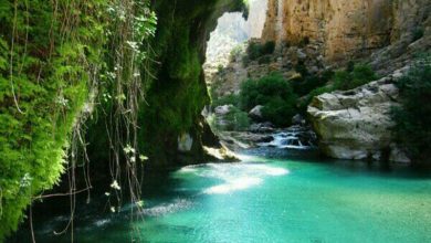 آبشار خروشان تامرادی