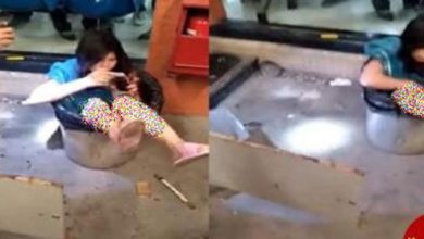 گیر کردن زدن چینی در زباله