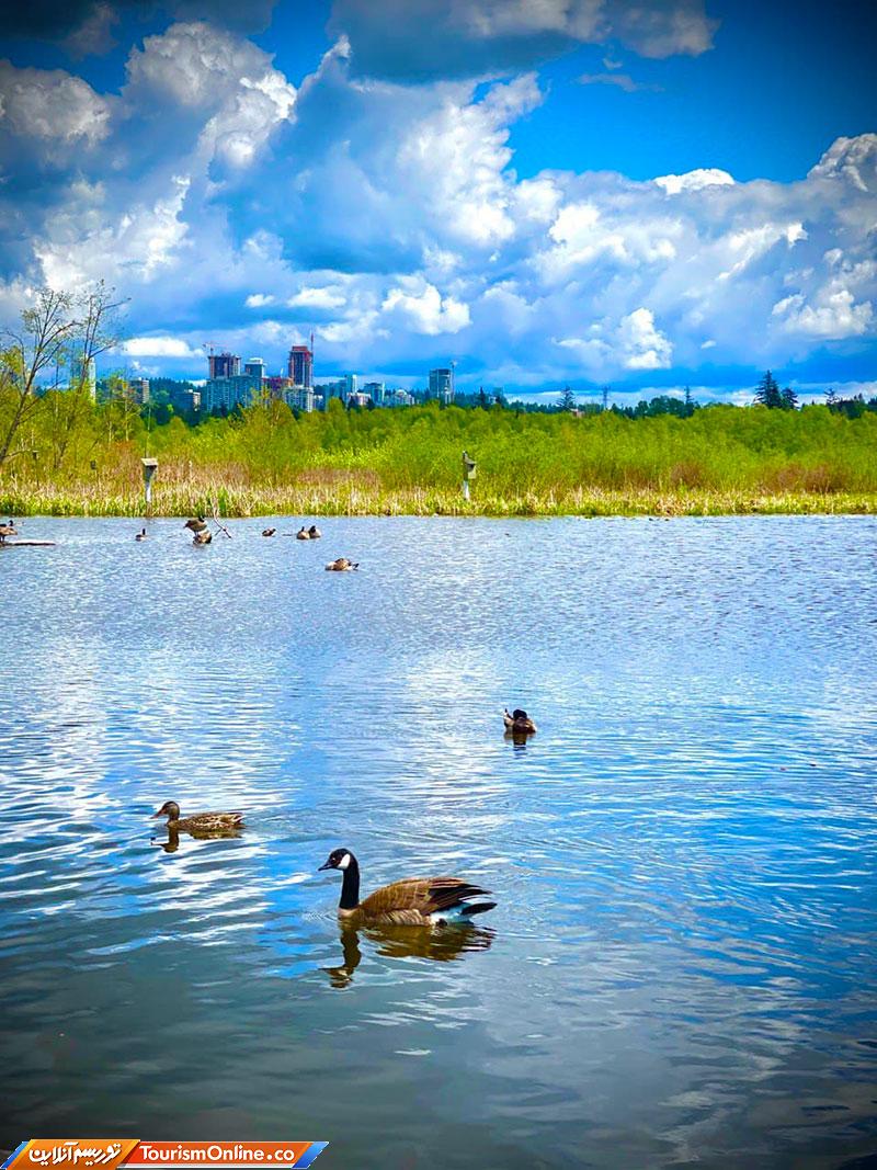 برنابی ونکوور کانادا