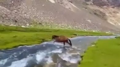 طبیعت پاکستان