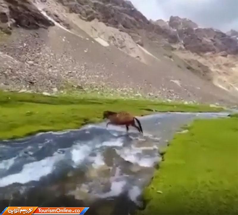 طبیعت پاکستان