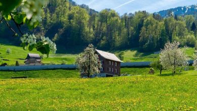 زیبایی بهار در سوئیس