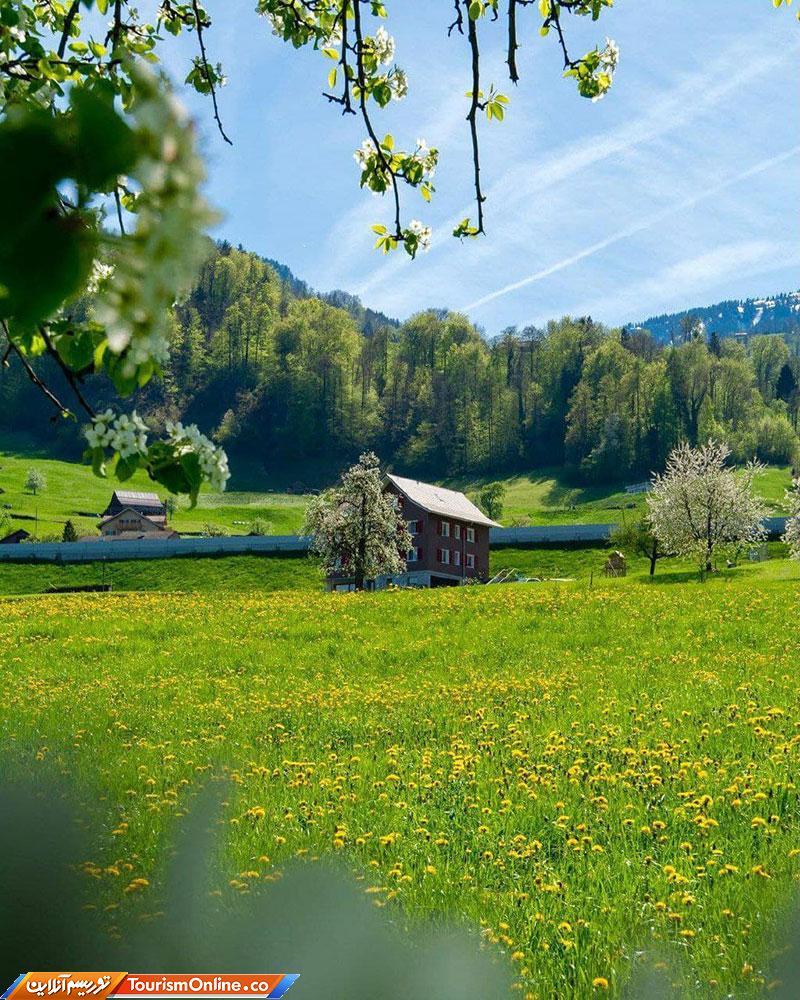 زیبایی بهار در سوئیس