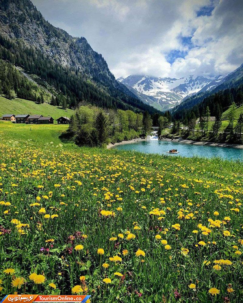 زیبایی بهار در سوئیس
