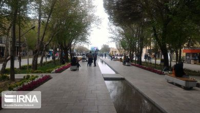 فرهنگ و هنر