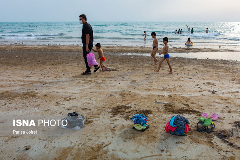 سواحل بوشهر