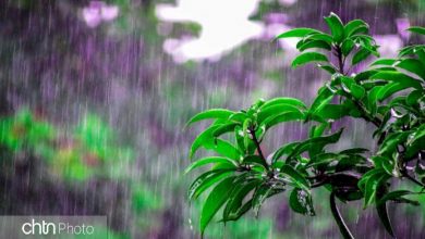 آیین چمچمه گلی خراسان شمالی