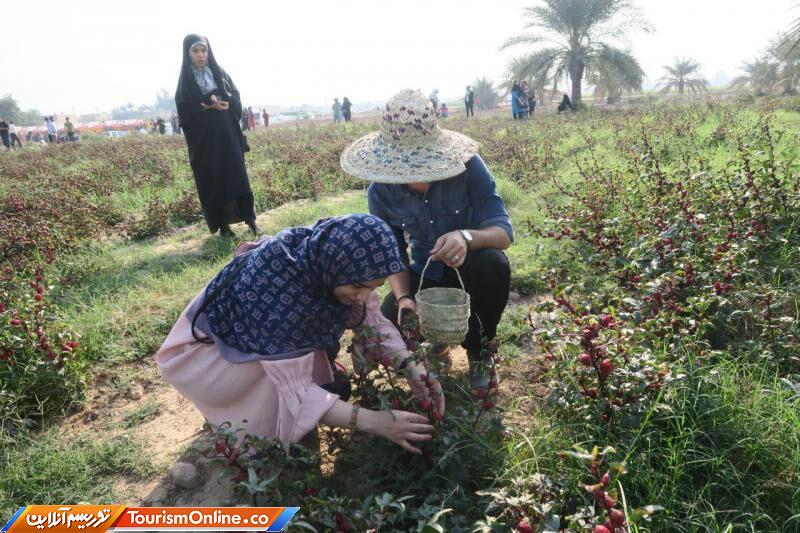 گردشگری کشاورزی