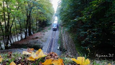 قطار گردشگری