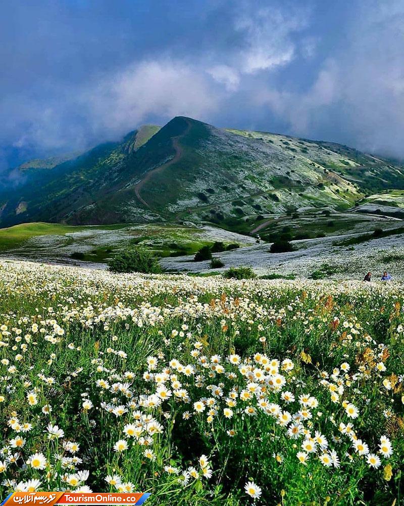 جنگل فندقلو اردبیل