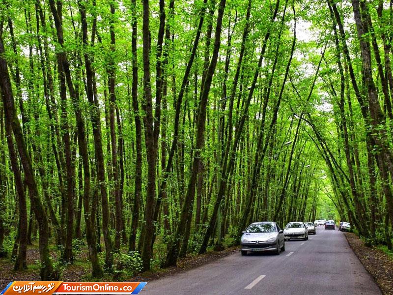 تونل چنگلی گیسوم