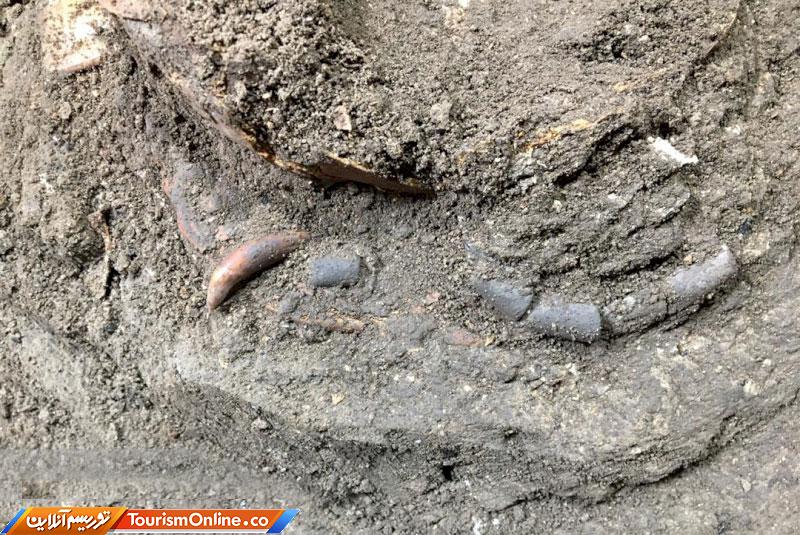 کشف اسکلت کودک