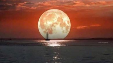 نزدیک ترین فاصله ماه به زمین