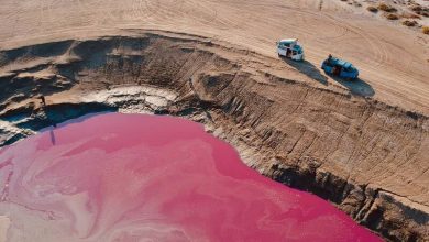 گلفشان نفتلیجه گلستان