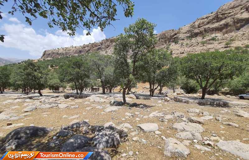 پارک گندمکار