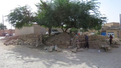 محور گردشگری خروس طلایی شوشتر