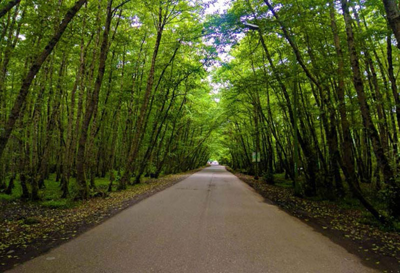 خرید ویلا در شمال