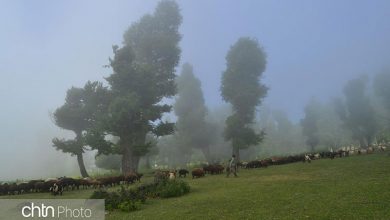 مینودشت گلستان