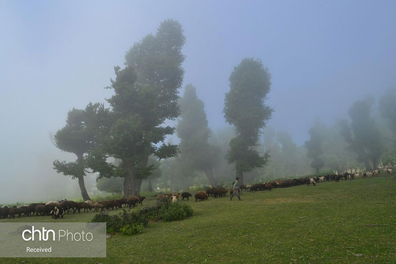 مینودشت گلستان