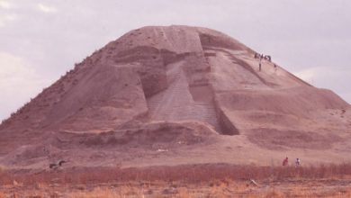 کشف مقبره در سوریه