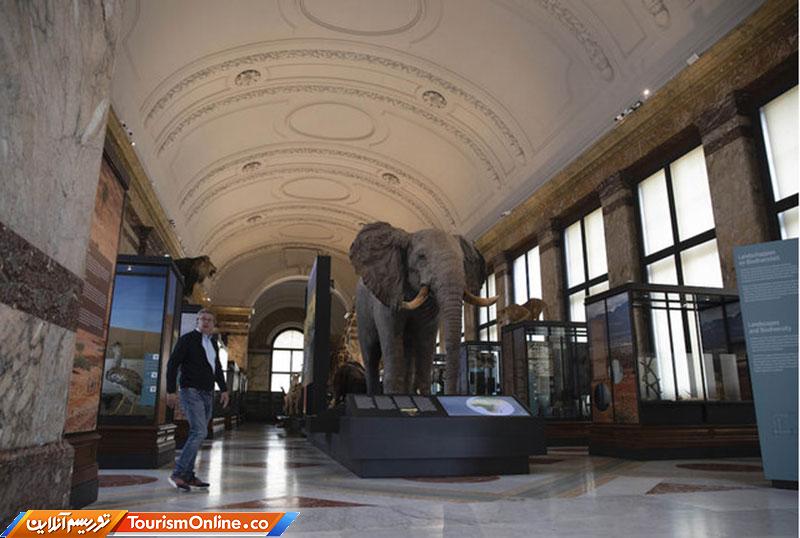 آثار تاریخی کنگو در بلژیک