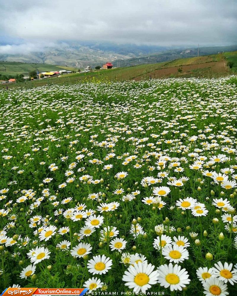 بهشهر مازندران