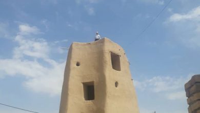 برج گلشن فامنین