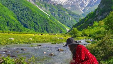 دشت دریاسر تنکابن