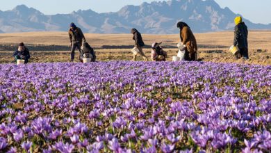 آگروتوریسم لرستان