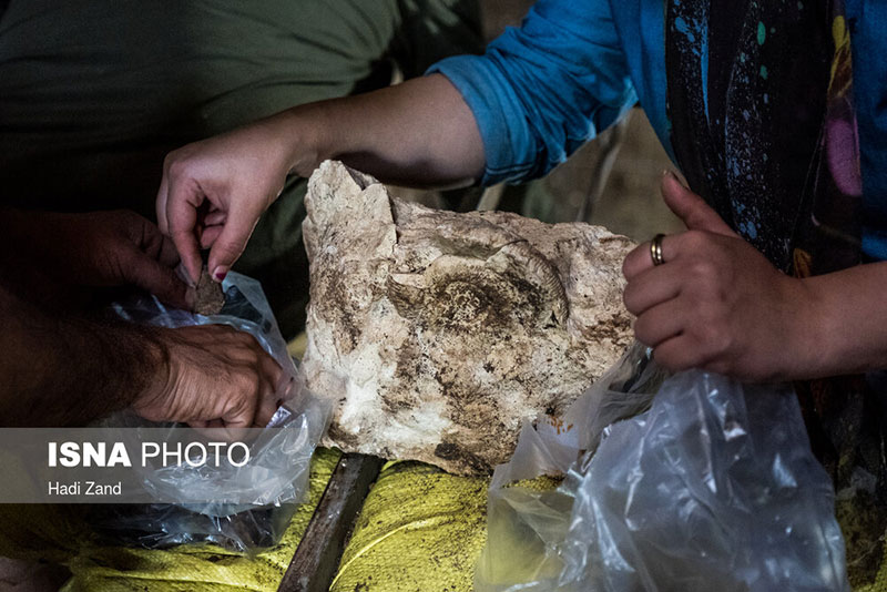 غار هوتو بهشهر مازندران