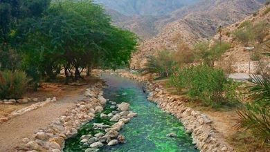 منطقه حفاظت شده گنو هرمزگان