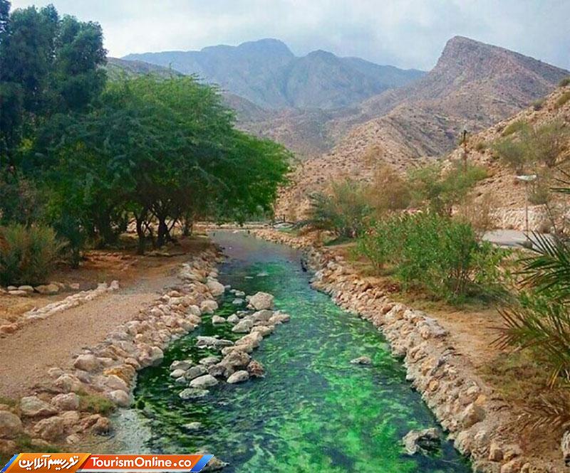 منطقه حفاظت شده گنو هرمزگان