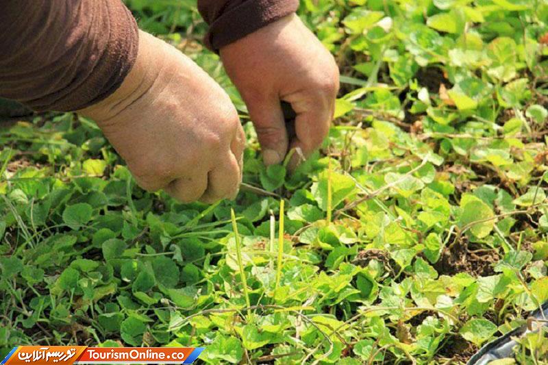 حفظ منابع طبیعی البرز