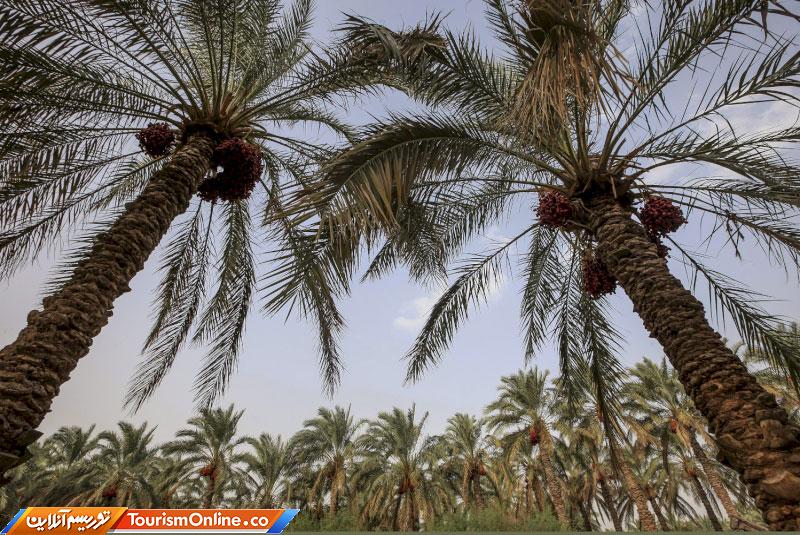 شهرستان کهنوج