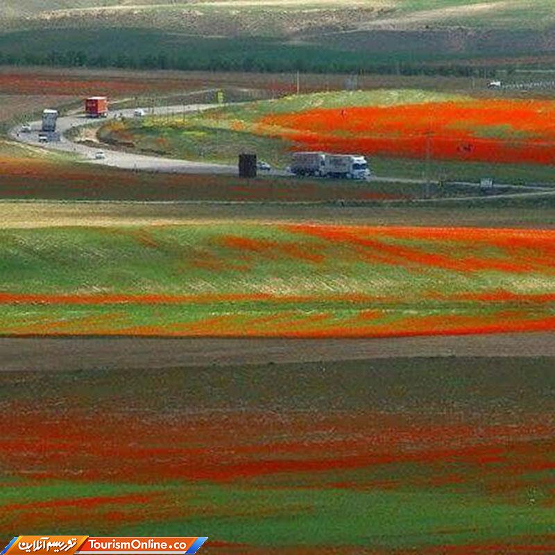 خراسان رضوی