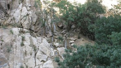 ثبت ملی آثار طبیعی لرستان