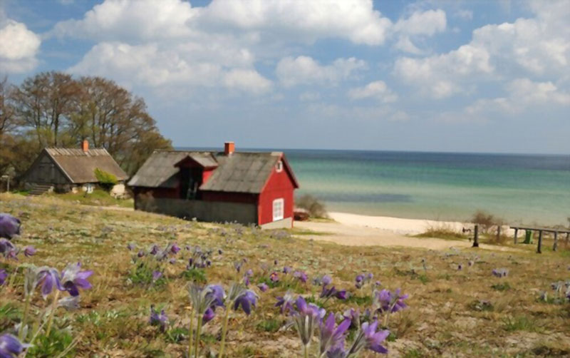 مهاجرت به اروپا