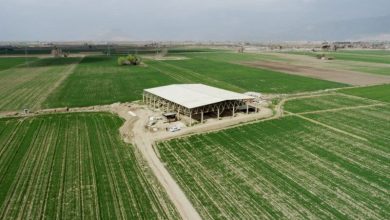 سایت موزه پردیس