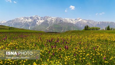 منطقه پی بن الموت