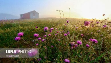 ییلاق سلانسر رودبار