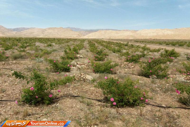 رودبار دامغان